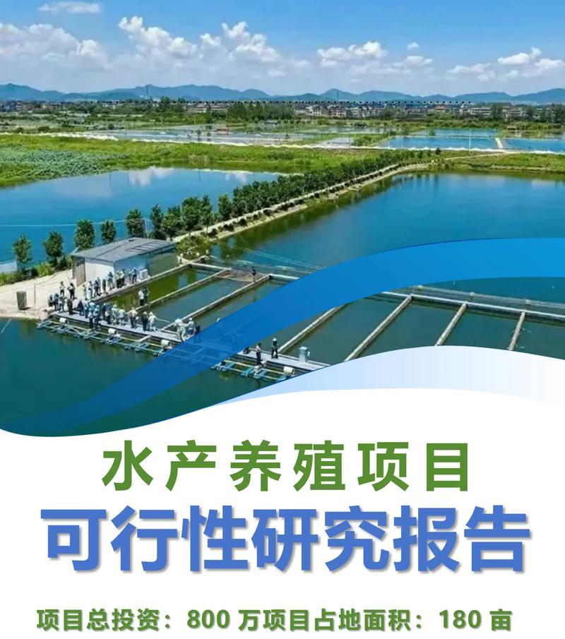 网站的可行性分析怎么写？需要考虑哪些关键因素？