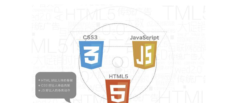HTML5支持哪些编程语言？如何在HTML5中使用它们？