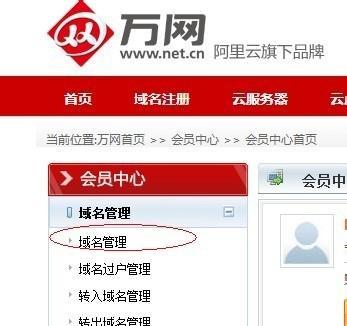 网站怎么删除域名解析？操作步骤和注意事项是什么？