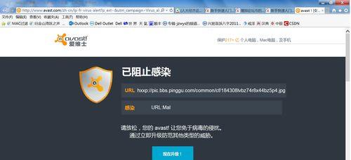 如何恶意网站推广？有效推广方法有哪些？