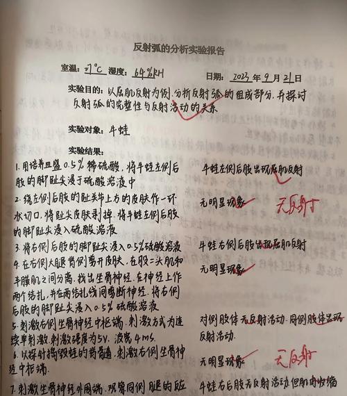 网站数据分析实验报告怎么写？需要包含哪些关键部分？