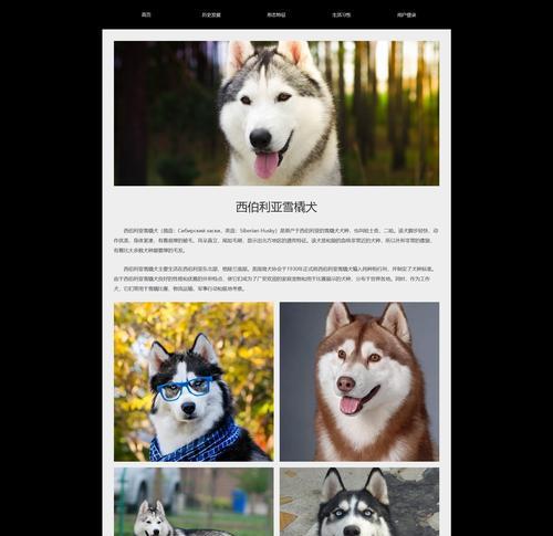 学习HTML和CSS能进入哪些类型的公司？掌握这些技能后就业前景如何？
