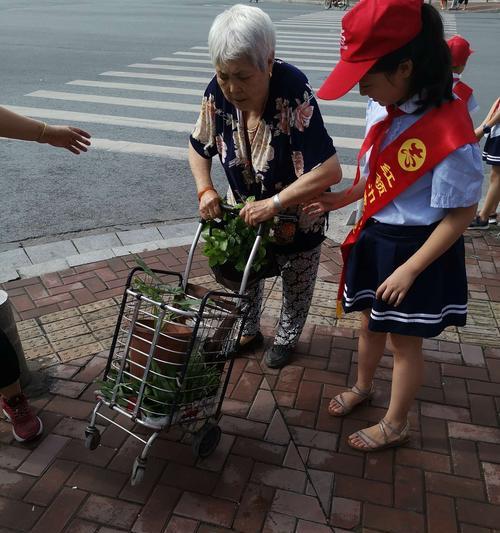 创建文明小博客网站的步骤是什么？如何确保内容的文明性？