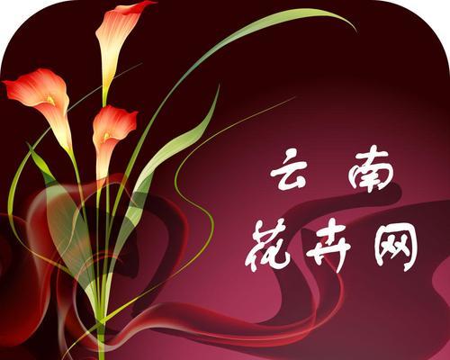 花卉店网站分析图怎么做？如何优化网站流量和销售？