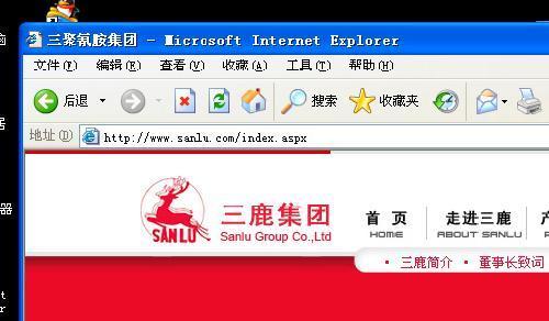 网站页面屏幕突然变黑是怎么回事？如何快速解决？
