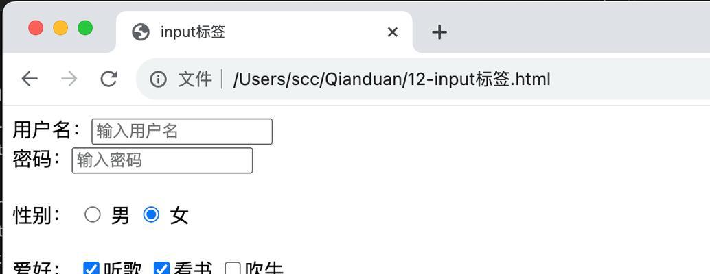 HTML文本框属性有哪些？如何设置文本框属性以提高表单效率？