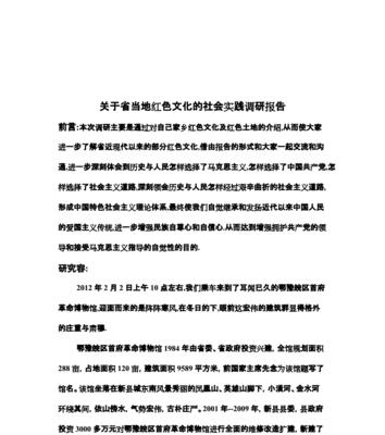 调查网站分析报告怎么写？需要包含哪些关键要素？