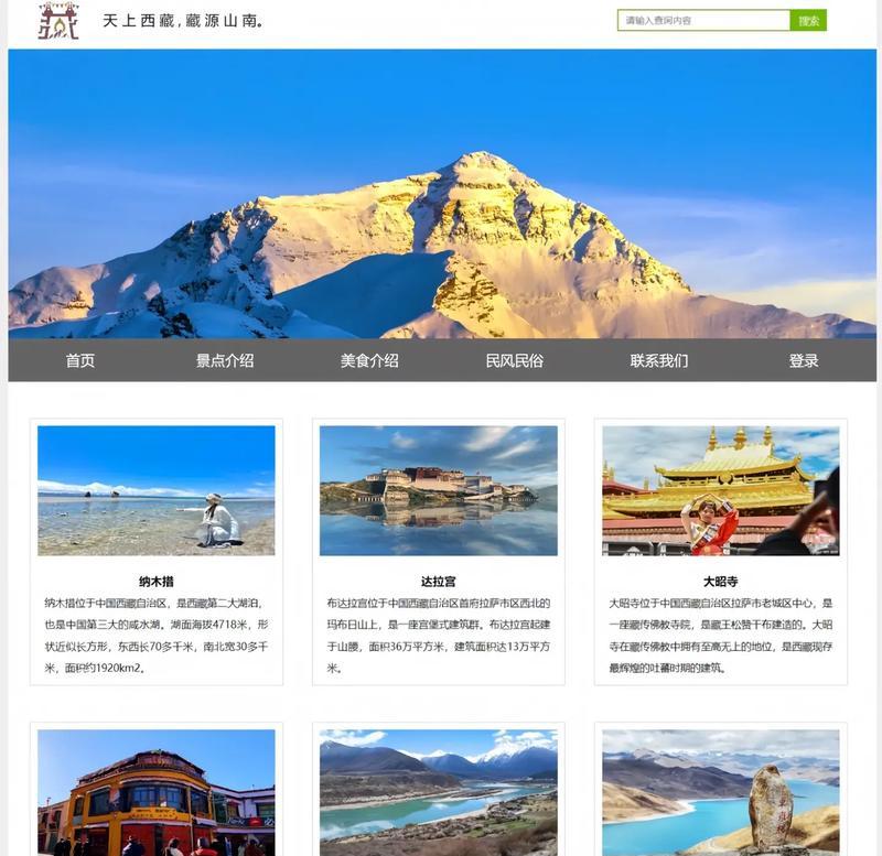 HTML编码有哪些常见类型？如何正确使用它们？
