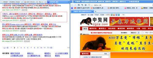 如何推广小网站赚钱？有效策略和常见问题解答？