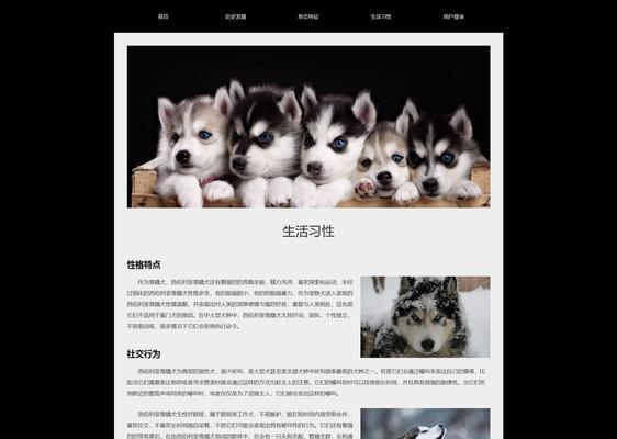 网站日志要怎么分析？分析网站日志的步骤和技巧是什么？