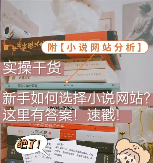 小说网站利润分析怎么做？如何优化收益策略？