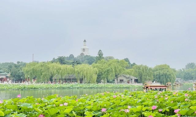 “入伏逢单，夜里盖棉；入伏逢双，伏里桑拿”，今年的入伏在哪？