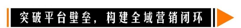 从 618 看电商变革：品效销增长伙伴灵狐科技解读下一代生意增长范式