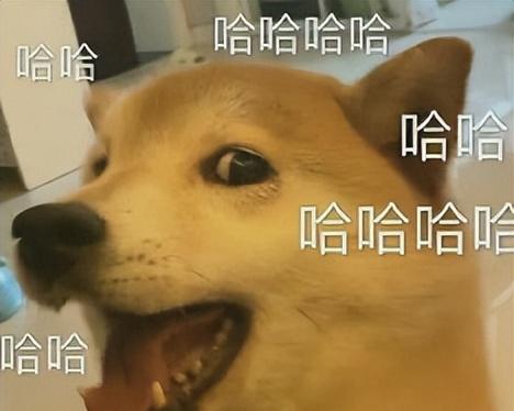 啧啧，微信刚刚这波更新，安卓鸿蒙又要傻眼了