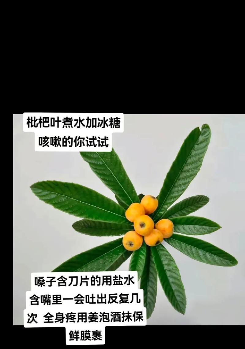 春暖花开时抖音热门关键词是什么？如何把握趋势？