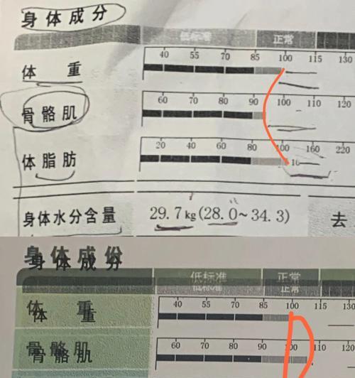 如何进行Matomo的隐私友好型分析？分析的步骤是什么？