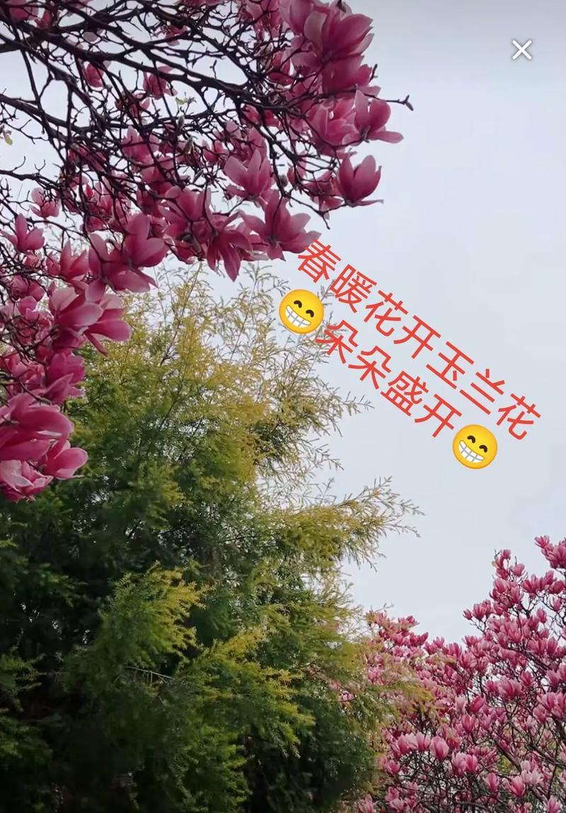 春暖花开抖音关键词是什么？如何利用季节性关键词？