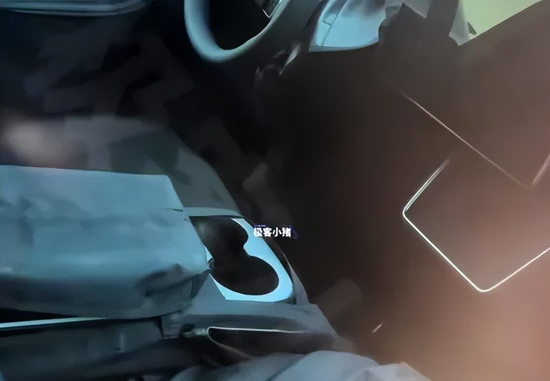 廉价版ModelY实车曝光，玻璃顶和灯带真的没有了！