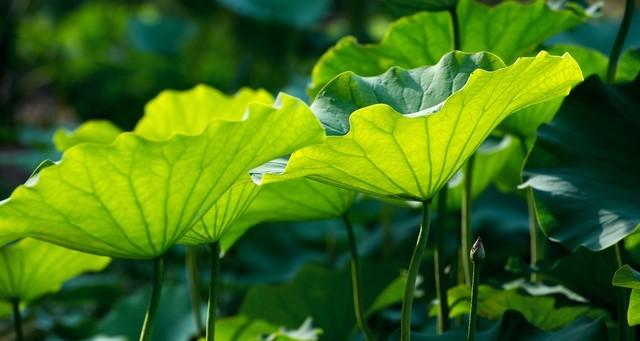 河北！大范围降雨来到！中雨、大雨、暴雨！具体分布在如下！