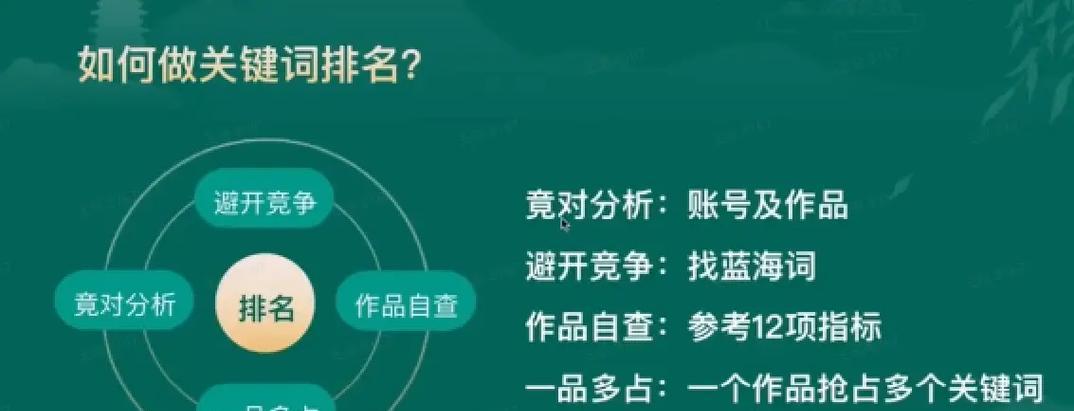怎么避开seo综合查询公司？有效策略有哪些？