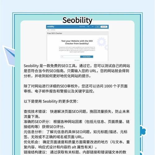 SEO查询需要什么？如何进行有效的SEO关键词分析？