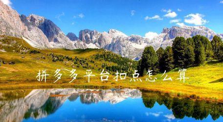 拼多多扣点比例是多少？卖家需要了解的费用详情！