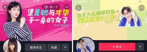 邯郸SEO顾问：网站被K的原因有哪些？
