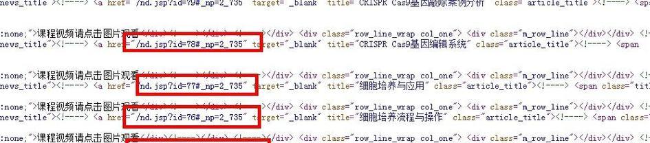 如何在短时间内排名你的网站？（15个简单而有效的策略和技巧）