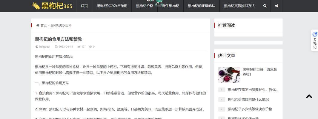 企业网站SEO优化指南（如何在搜索引擎中获得首页排名）