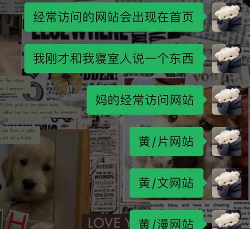如何让蜘蛛多访问你的网站？（做好这两点，提高搜索引擎排名！）