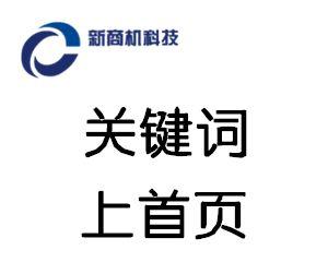 分析网站SEO优化中断的原因与补救措施（如何解决网站SEO优化中断的问题）