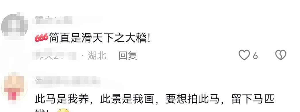吃相难看！徐州一景区马匹入镜被要求收费站旁边也不行！景区回应